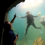 Michael at St. Louis Aquarium